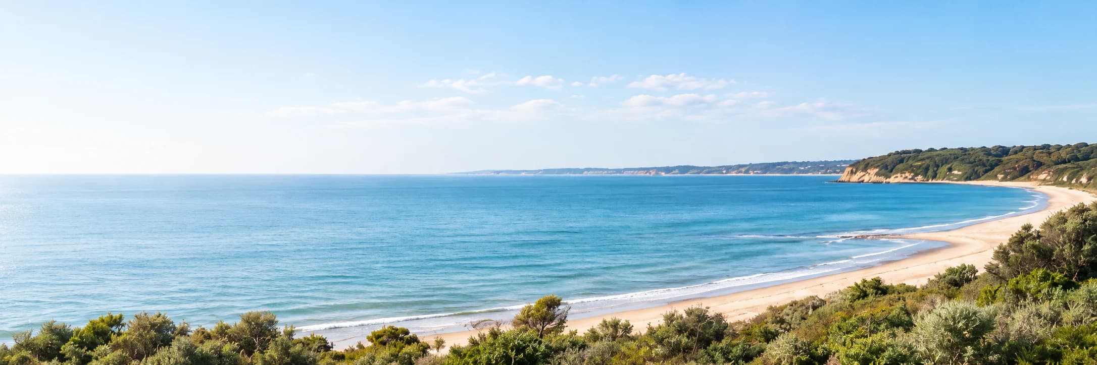 An illustrative sunny coastal bay inspired by the Bellarine Peninsula, with a sandy beach and green headland